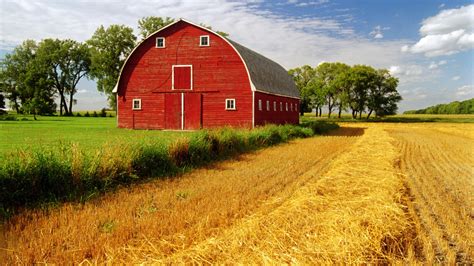 Photo barn - 875 Free images of Old Barn. Select a old barn image to download for free. High resolution picture downloads for your next project. Find images of Old Barn Royalty-free No attribution required High quality images.